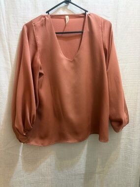 Tyche Rust V-Neck Long Sleeve Blouse